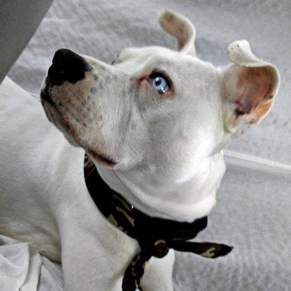 Meet your Posher, Michele - Picture 3 of 10